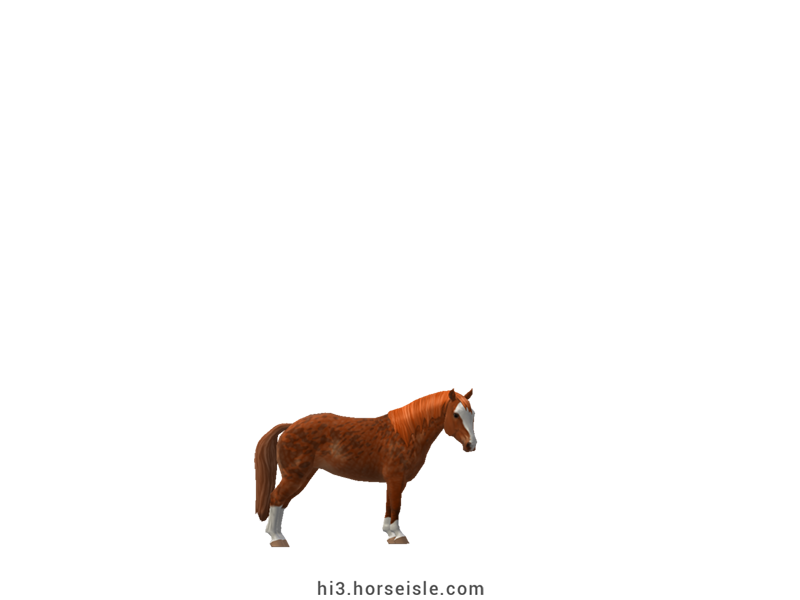 South African Miniature Horse Red Chestnut Bend Or Coat